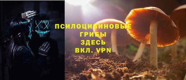 ECSTASY Бородино